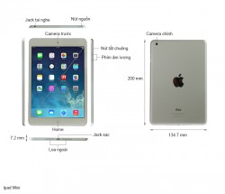 iPad Mini 64GB Wifi + 4G (Đen / Trắng) like new mới 99%_1