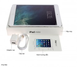 iPad Mini 64GB Wifi + 4G (Đen / Trắng) like new mới 99%_2